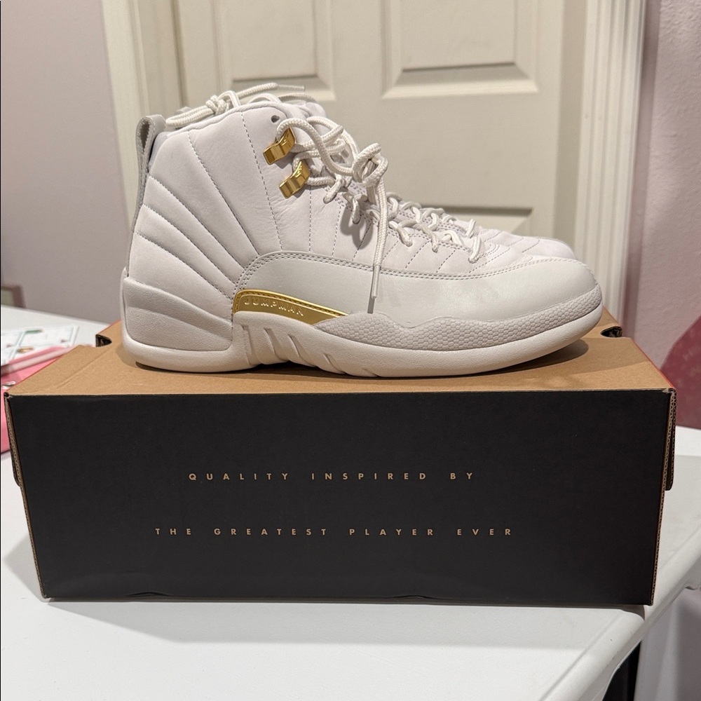 Jordan 12 Retro Phantom - Womens Size 11 / Mens Size 9.5